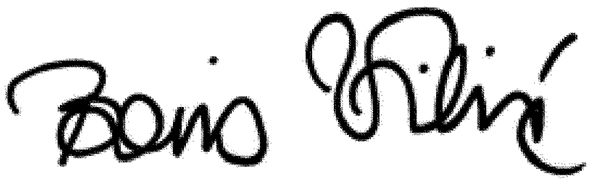 Vilic signature