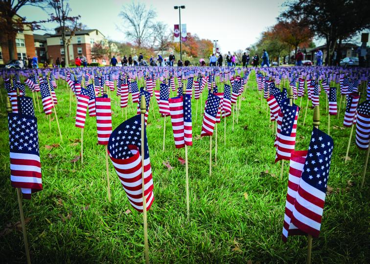 Veterans Count- US Flags