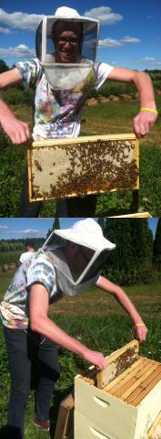Images of Beehives at Rider University