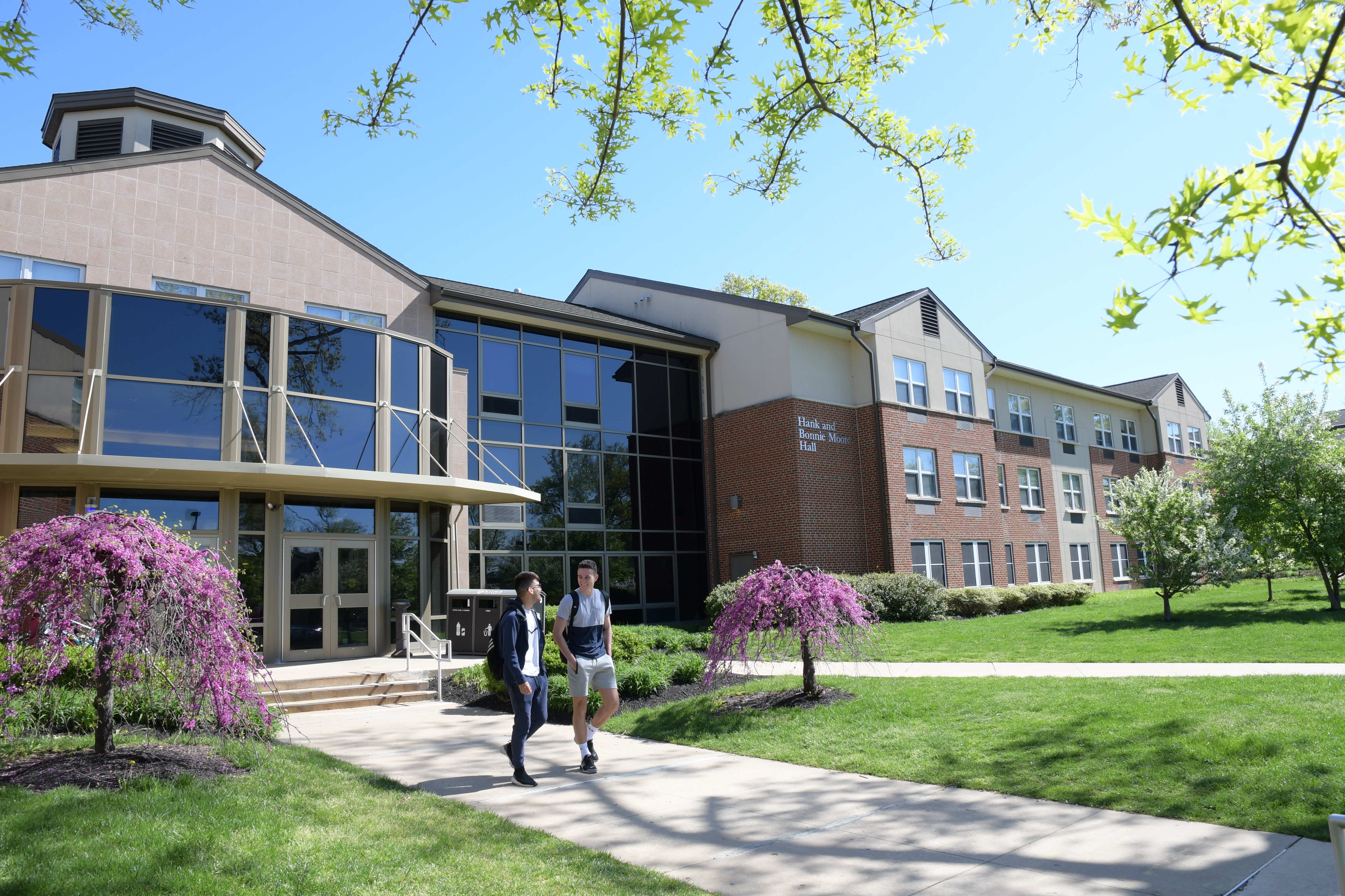 Students walk on path near residence hall