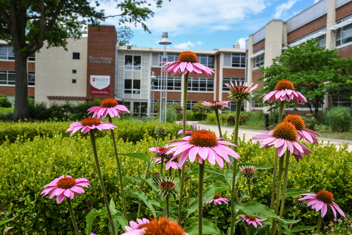 Education building with flowers in front of it.