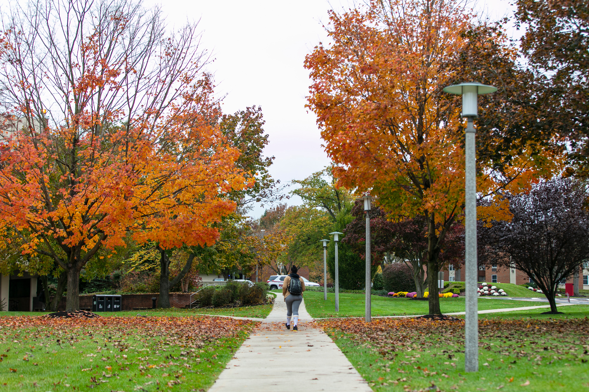 Campus Tours Rider University