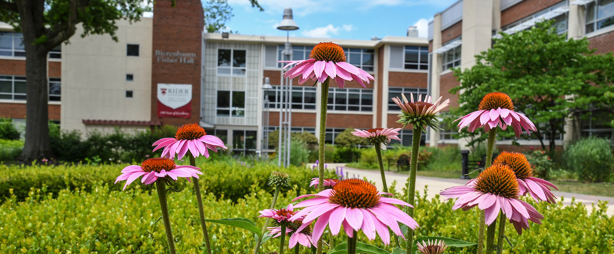 Campus Photo with Spring flowers
