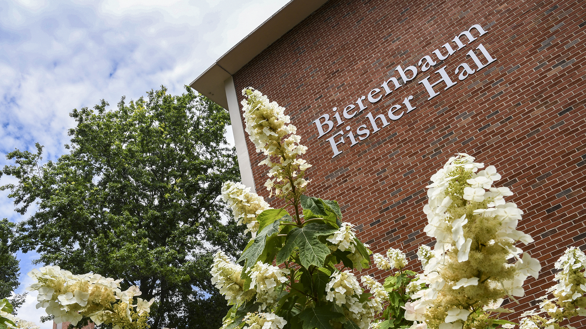 Bierenbaum Fisher Hall