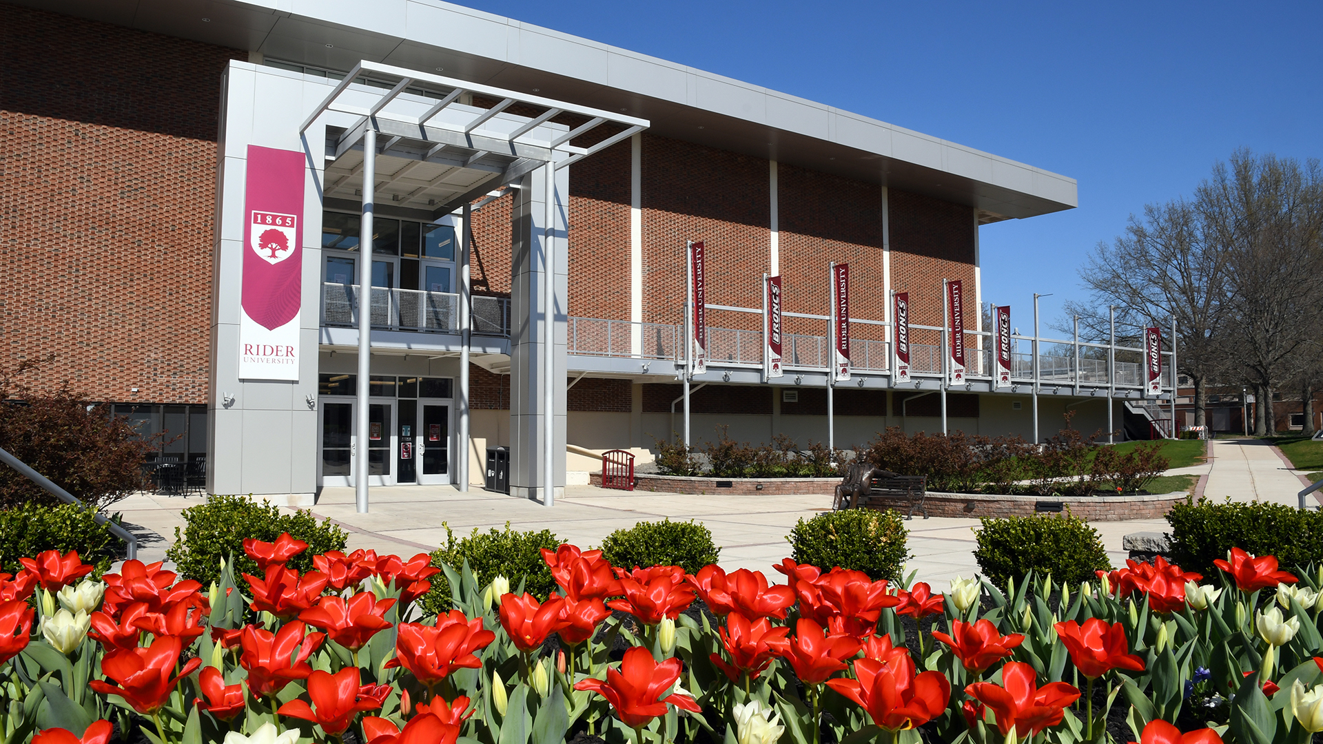 Bart Luedeke Center