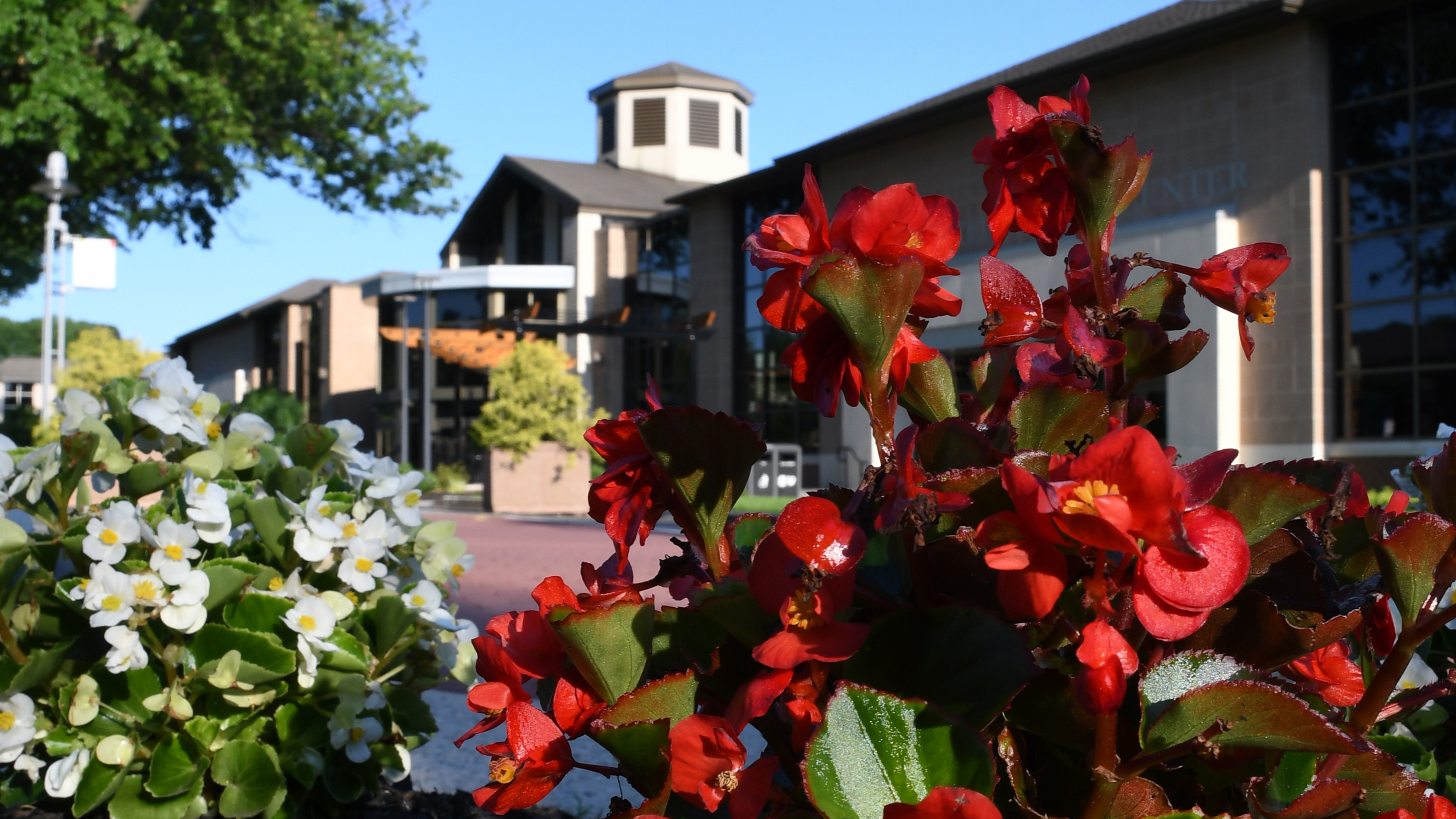 Rider campus building in summer