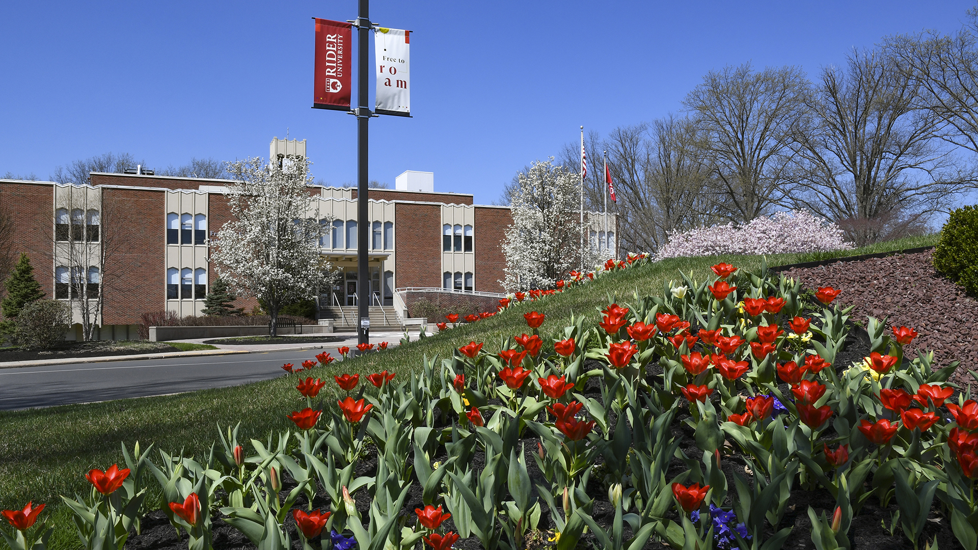 Rider campus building in spring