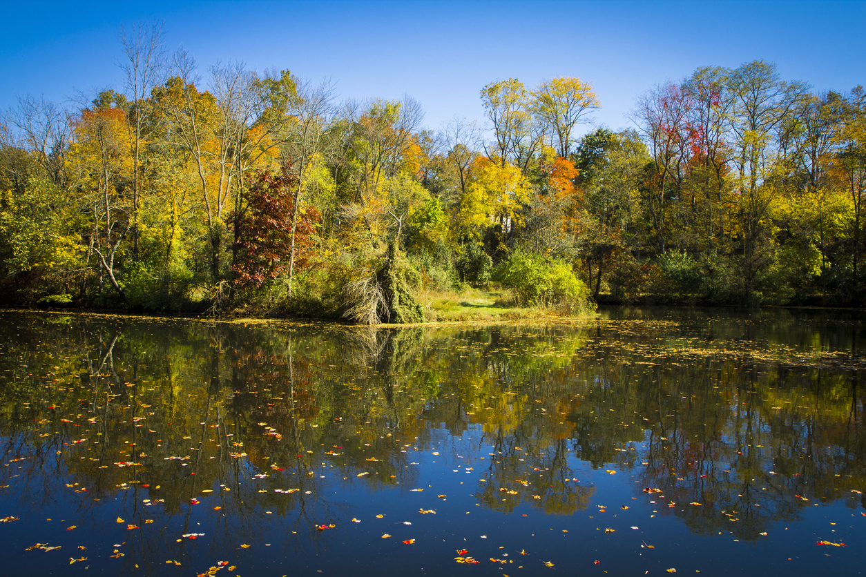 Delaware and Raritan Canal State Park