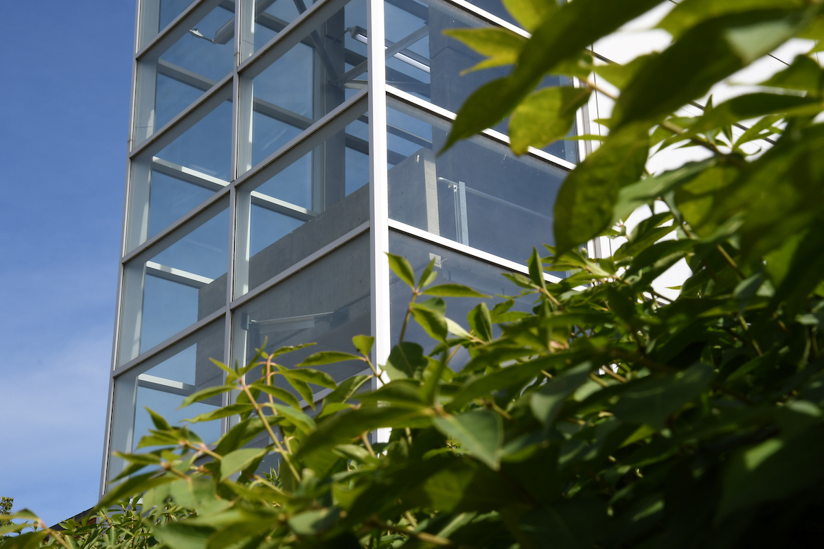 Plants next to Science and Technology Center