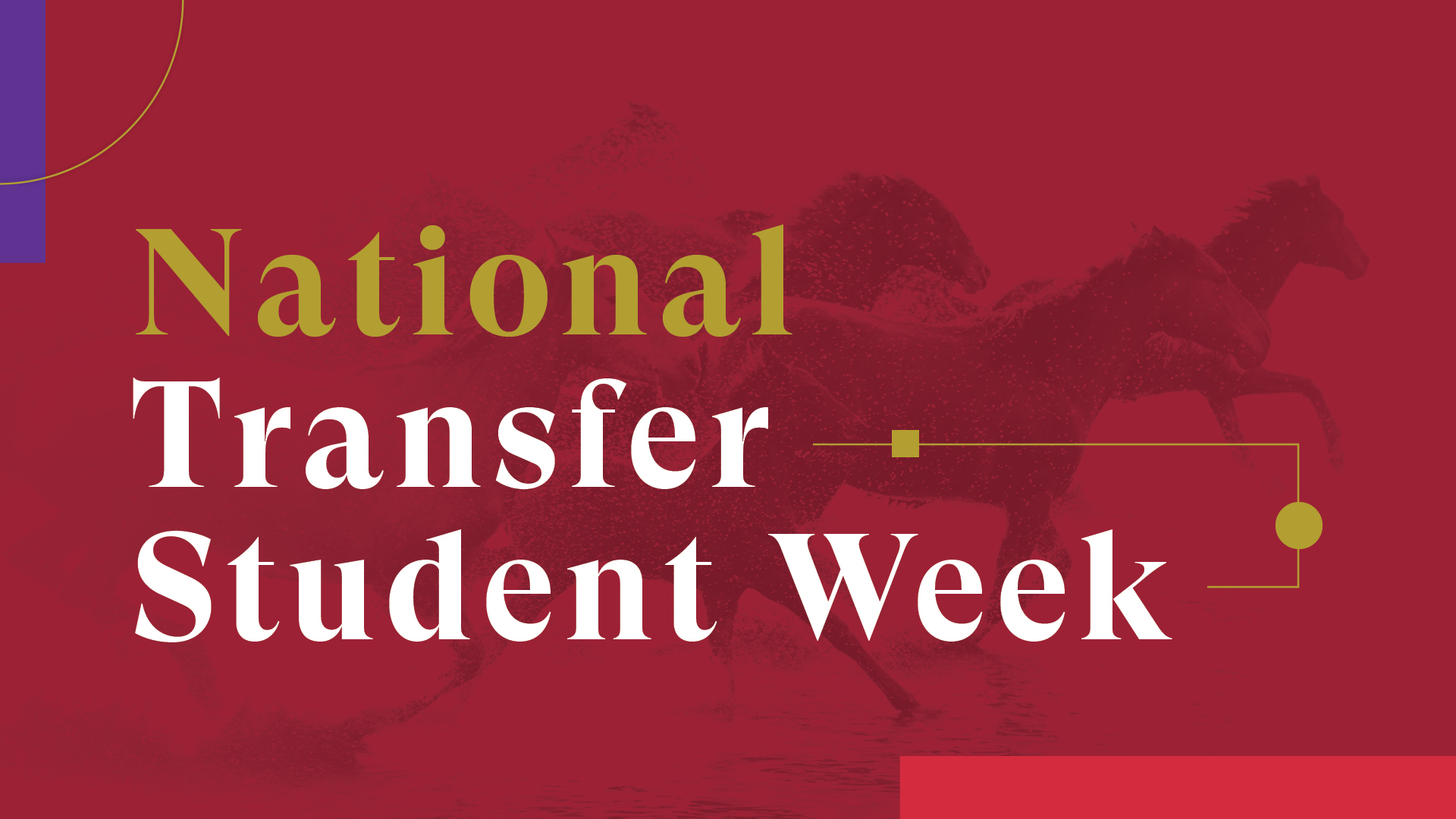 National Transfer Student Week