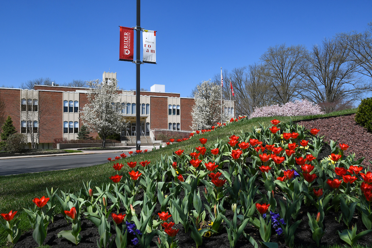 Moore Library in spring with tulips blooming