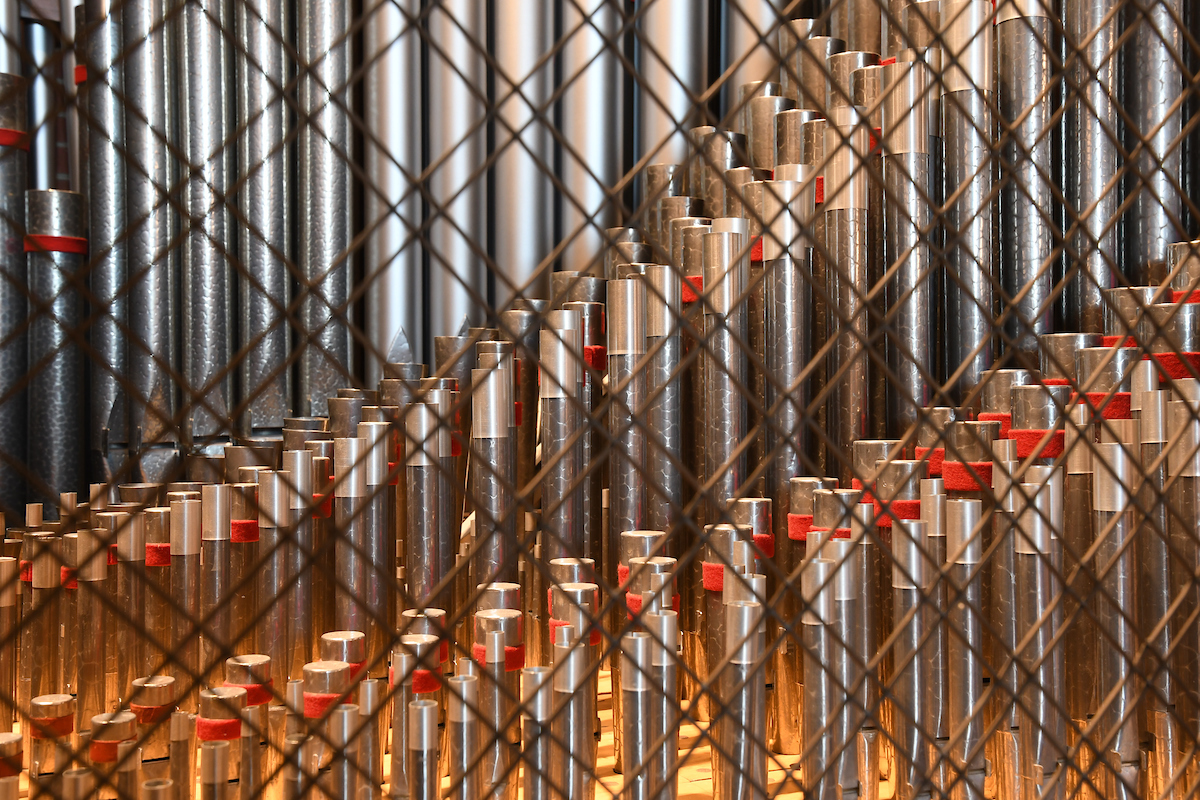 Organ pipes