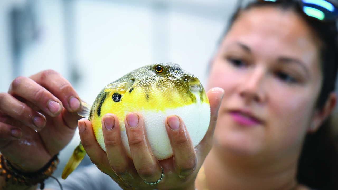 Miranda Rosen with a puffer fish