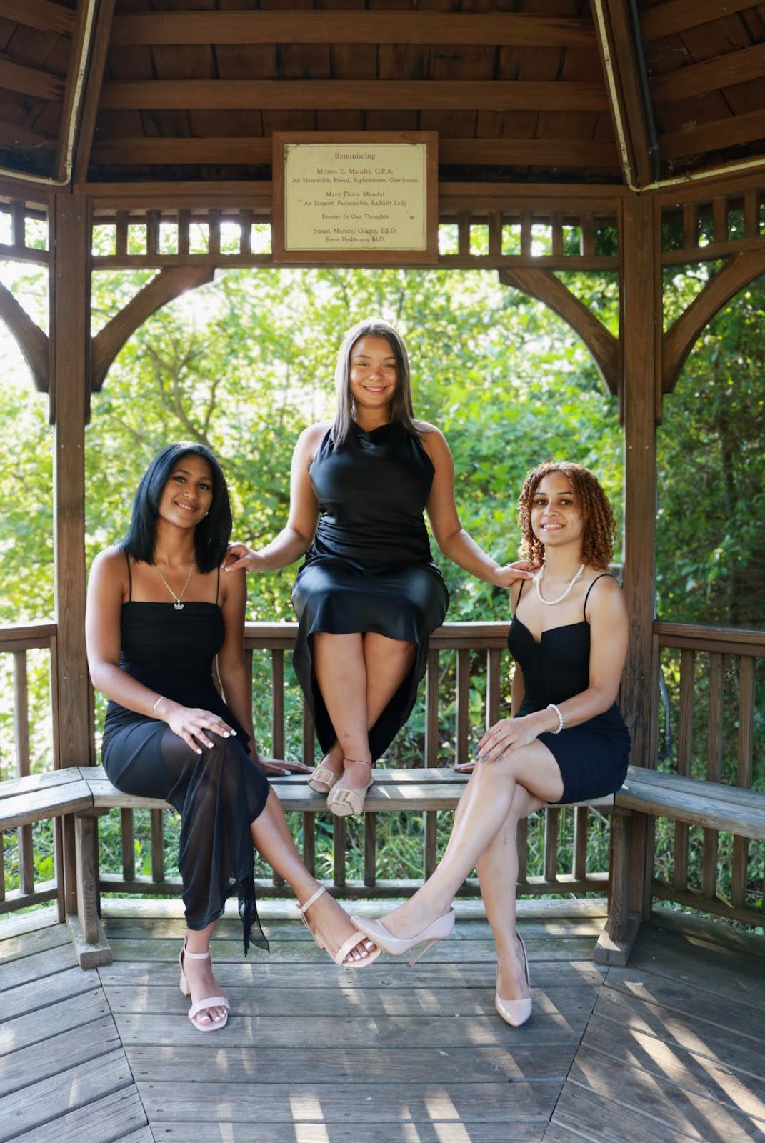 Lambda Theta Alpha sorority