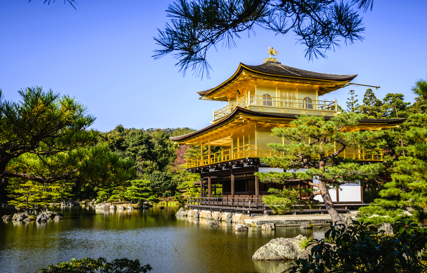 View of Japanese architecture