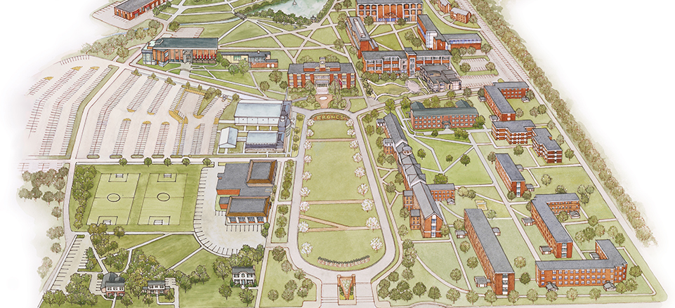 Transfer Students Rider University