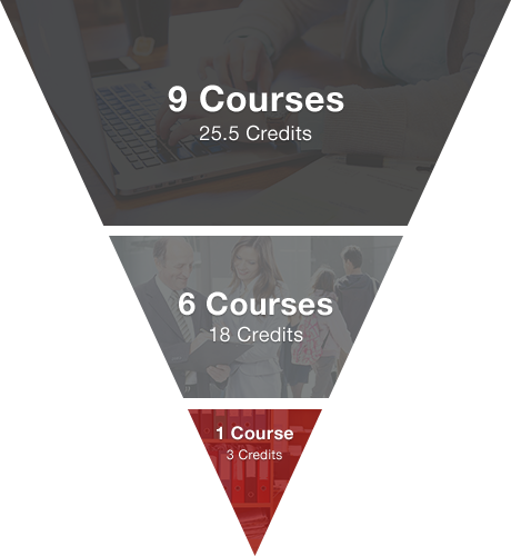 Integrated Foundation Courses - 9 Courses - 25.5 credits / Advanced Topics - 6 Courses - 18 credits / Strategic Management - 1 course - 3 credits