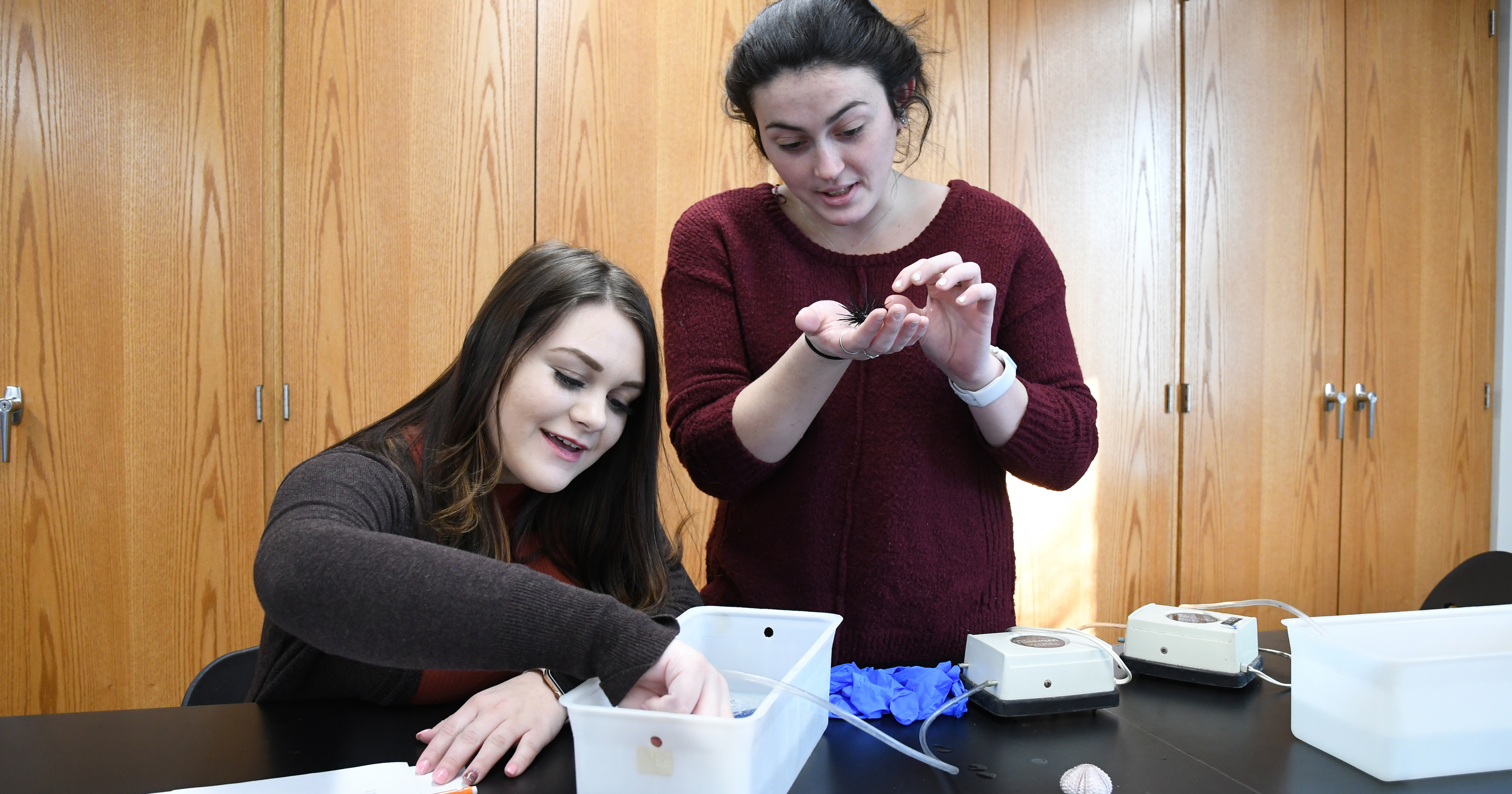 Students analyze specimens in lab
