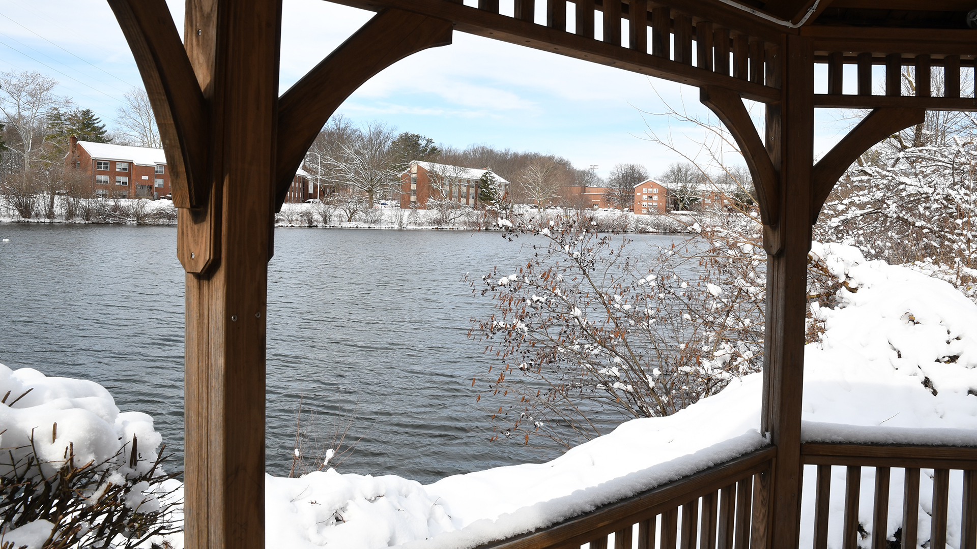 Overlooking Centennial Lake