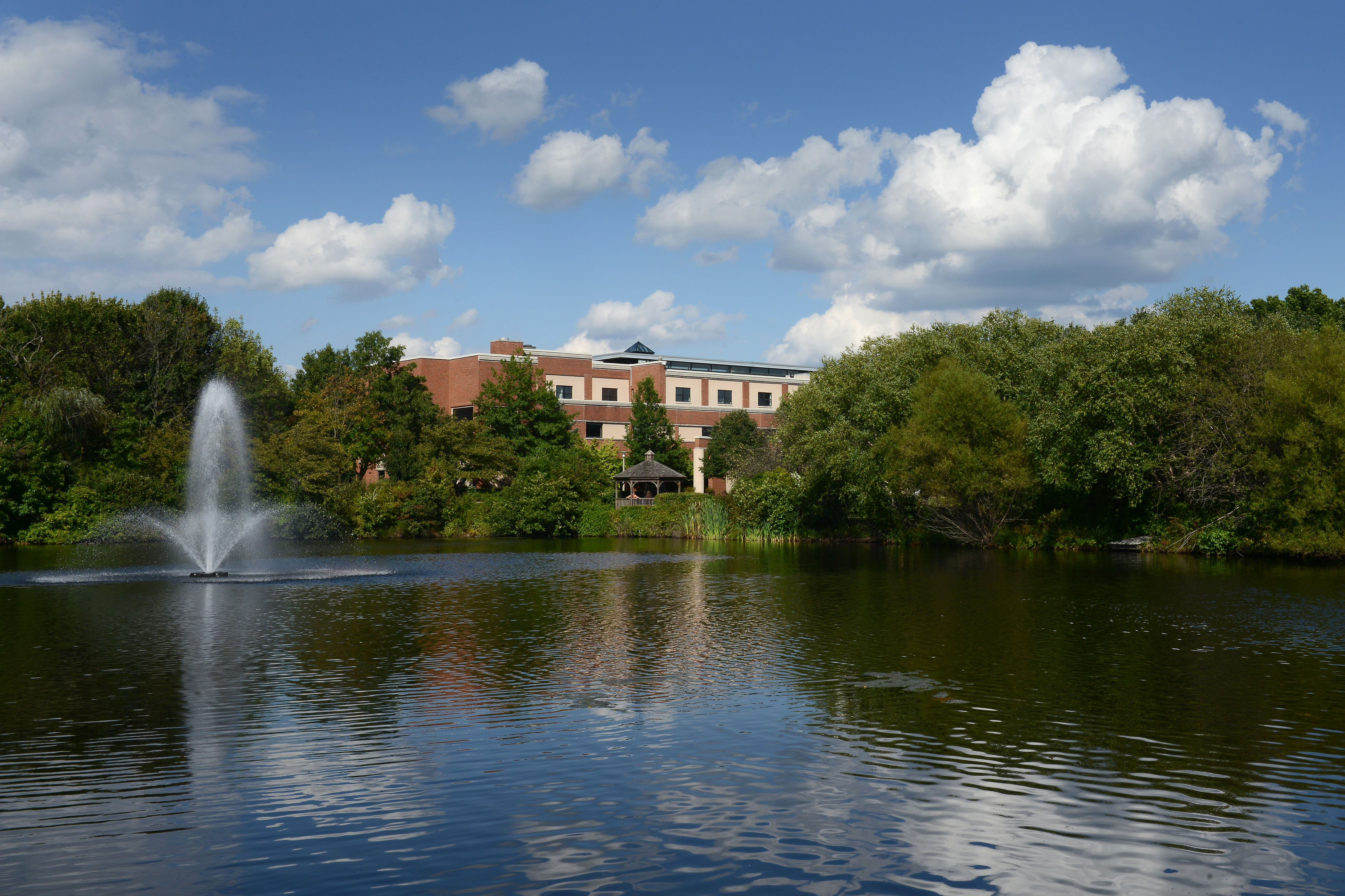 Rider University Lake