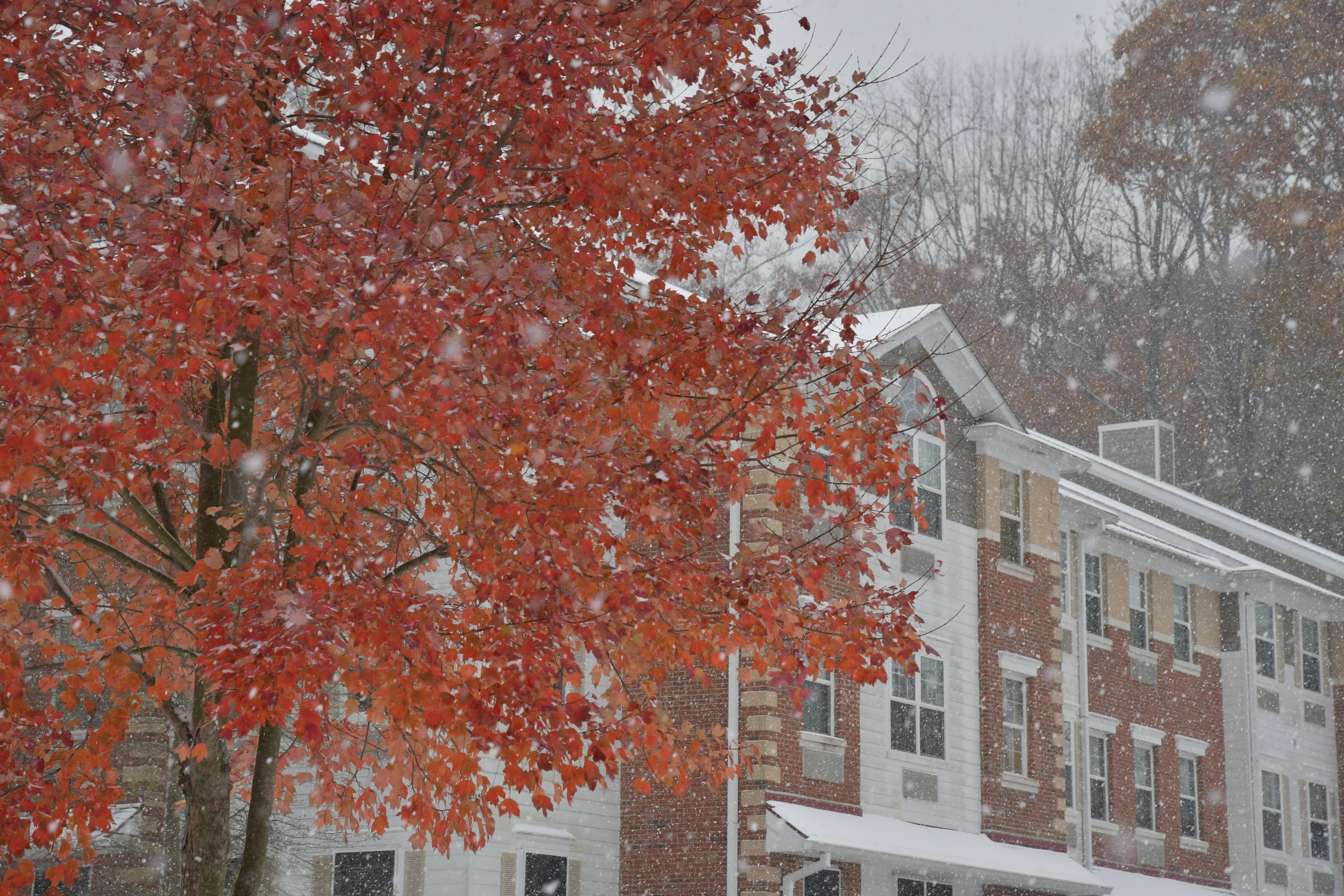 Snow around West Village