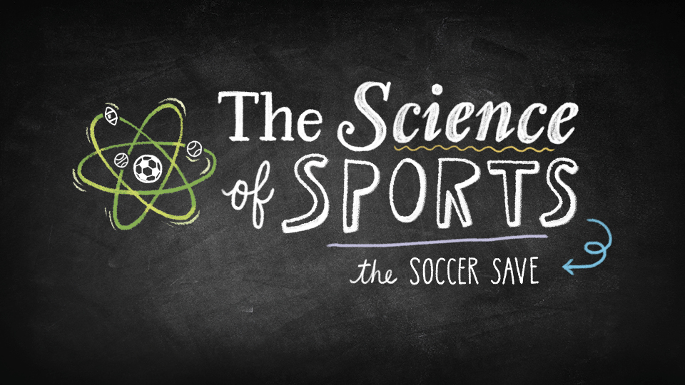 The Science of Sports