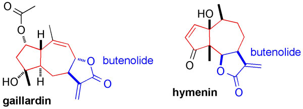 chem_gaillardin.jpg