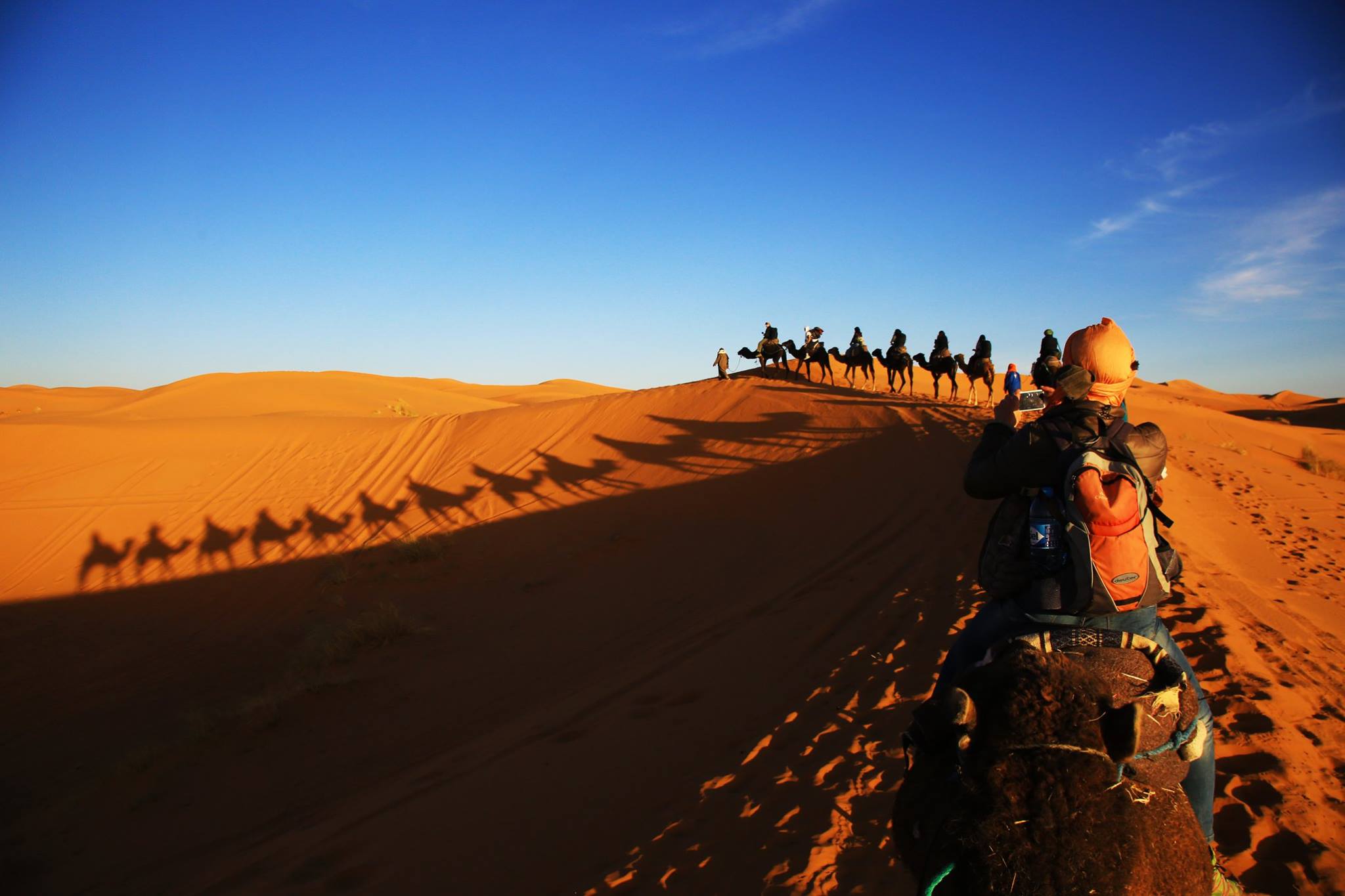 ISEP Study Abroad Image