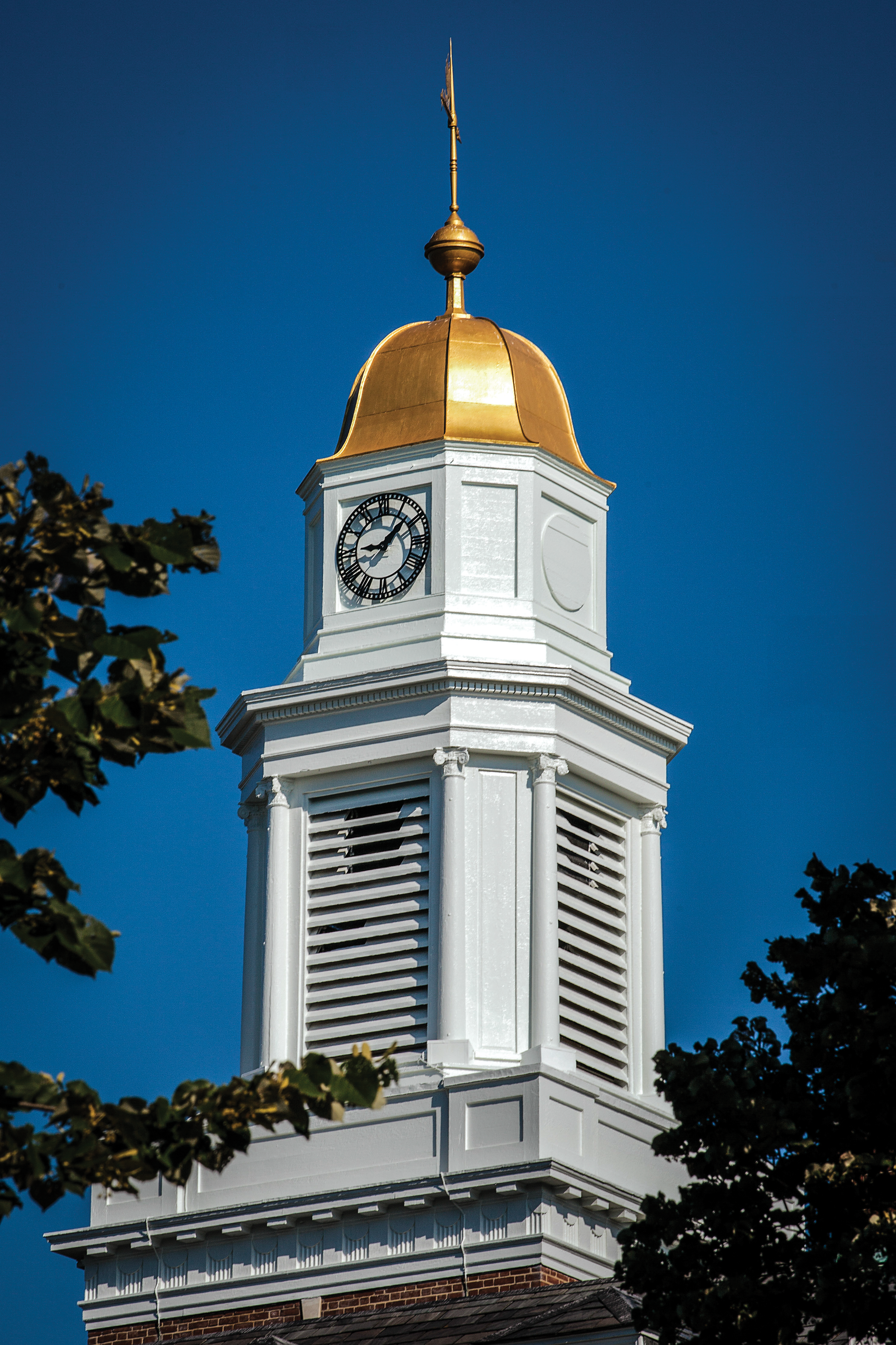 Williamson Hall clock tower
