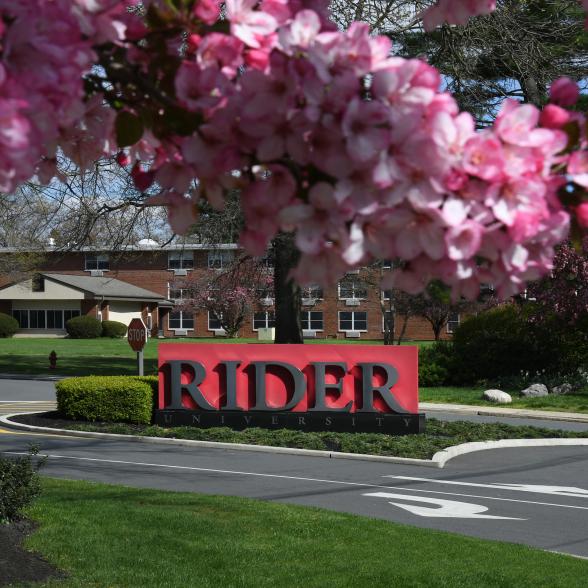 Main entrance in spring