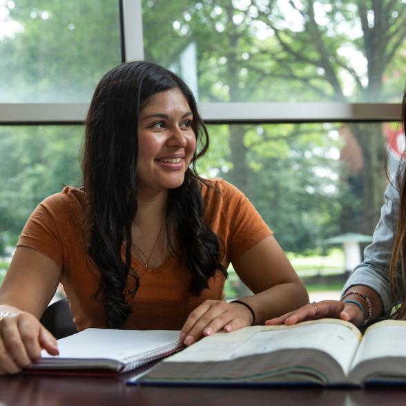 Two students studying.