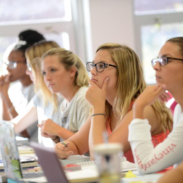 A group of students learning.