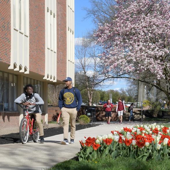 Students walk near Moore Library in spring