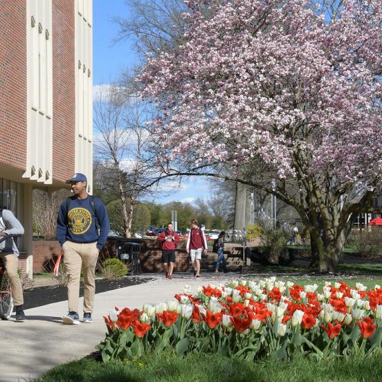 Students walk near Moore Library in spring