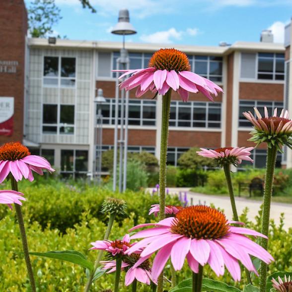 Campus Photo with Spring flowers