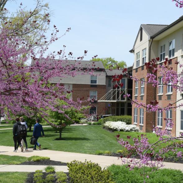 Campus in Spring