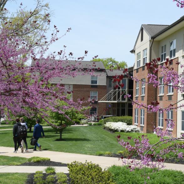 Campus in Spring