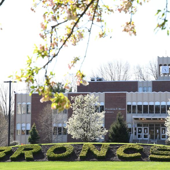 Rider library in spring