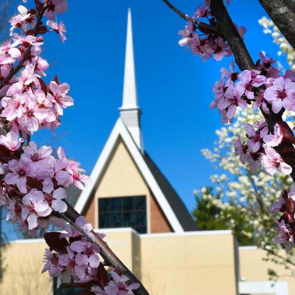 Westminster Choir College - How to Apply