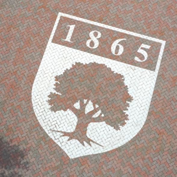 Rider logo shield on bricks