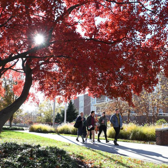 Four students walk near Moore Library in autumn