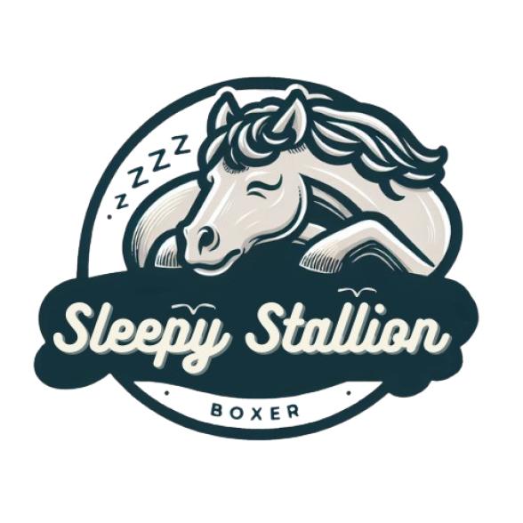 SleepyStallion logo - Business in Action