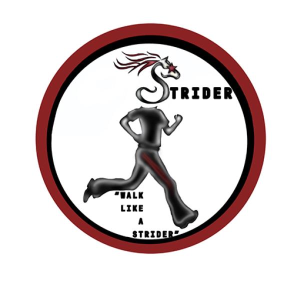 Strider logo - Business in Action