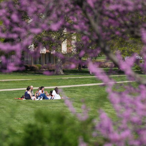 image of students sitting on campus lawn