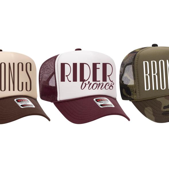 Bronc Brims - Business in Action logo