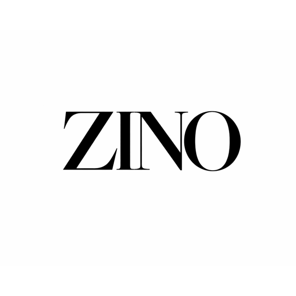 Business in Action Logo: Zino