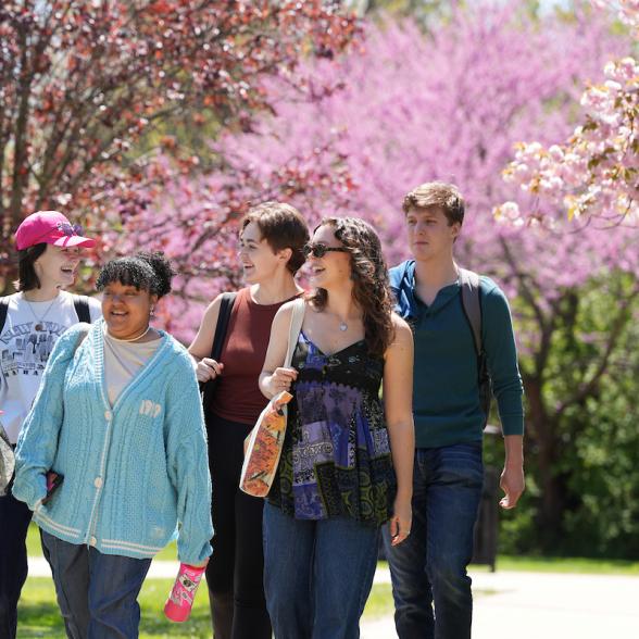 group of students walking on campus in the spring