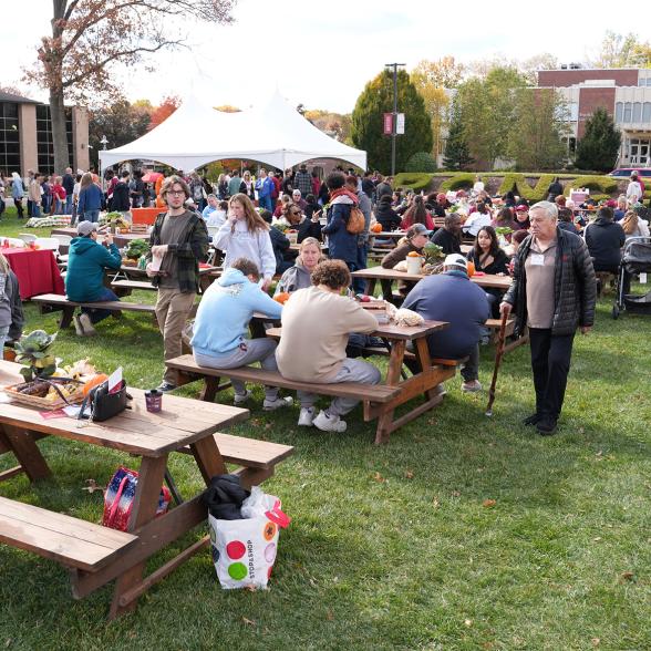 People eating around picnic tables