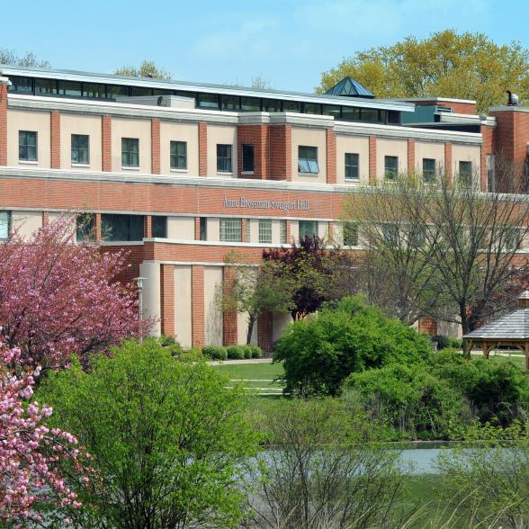 Rider online accounting program ranked among top 50