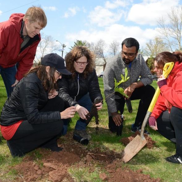 students planting a tree